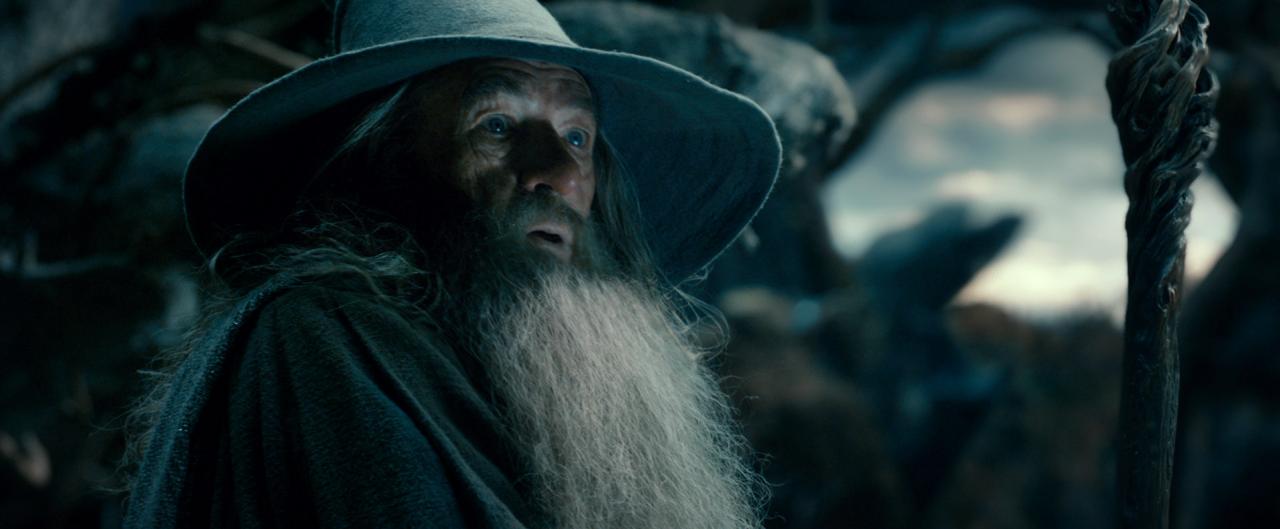 [12/06/2013] Ian McKellan brilliert erneut in seiner Rolle als Gandalf der Graue.