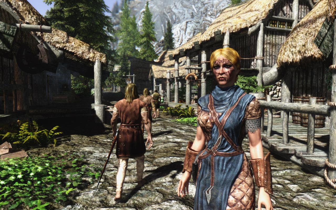 [06/12/2013] The Elder Scrolls 5: Skyrim - nahezu jede Wache: 
