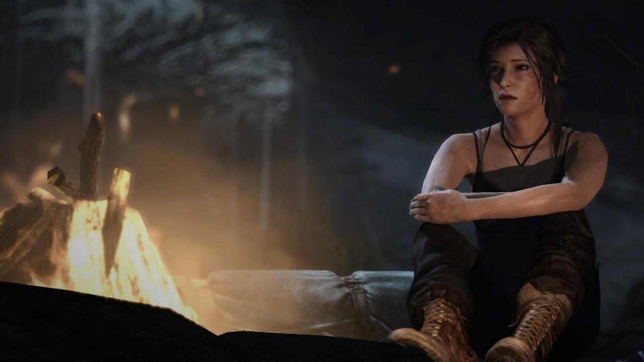 [28/01/2014] Im Verlauf des Spieles können wir in Tomb Raider immer wieder Ausschnitte aus Laras Tagebuch einsammeln, die sie uns freundlicherweise sogar vorliest. Innerer Monolog FTW!