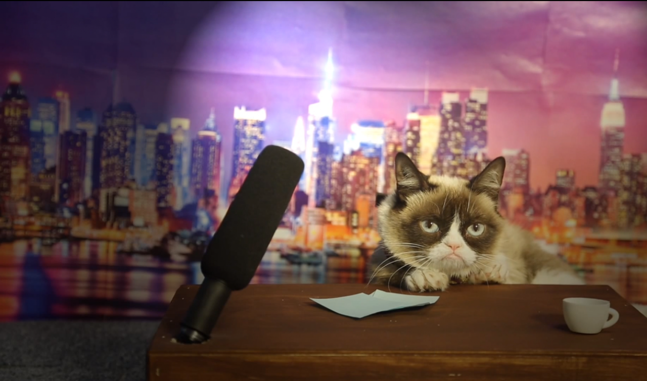 [08/04/2014] Grumpy Cat bei der Arbeit. Vermutlich sehen wir am Montag nicht gerade viel glücklicher aus.