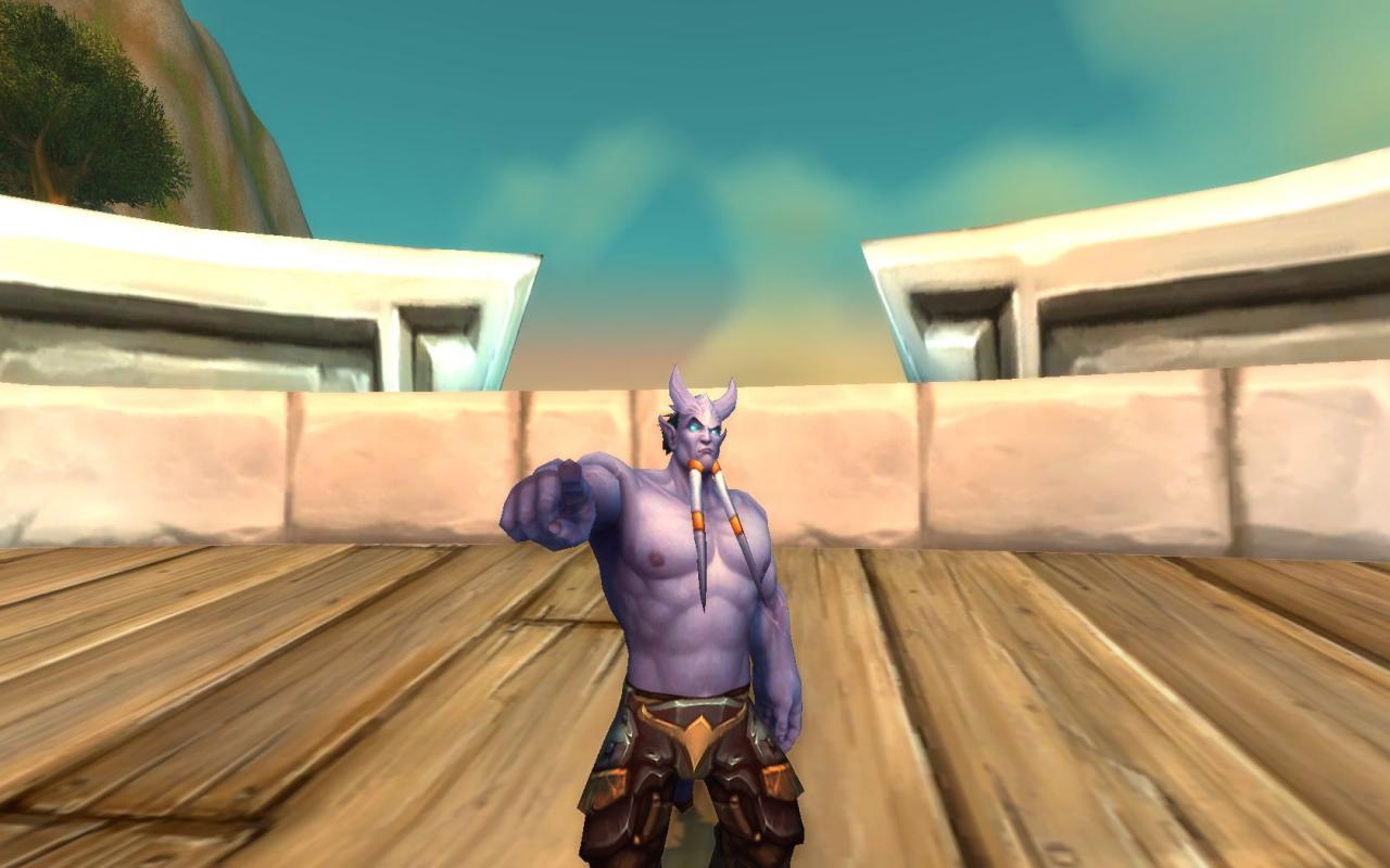 [27/06/2014] Mit der neuen Selfie-Kamera können Spieler in World of Warcraft bald ihre Helden in Szene setzen.