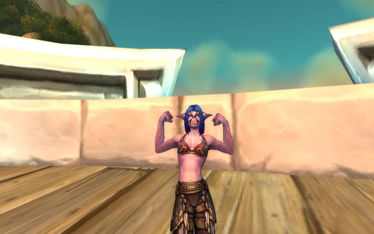 [27/06/2014] Mit der neuen Selfie-Kamera können Spieler in World of Warcraft bald ihre Helden in Szene setzen. (3)