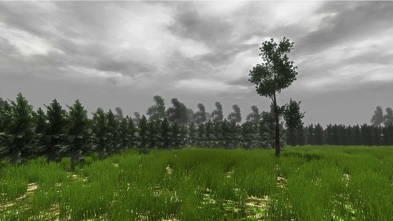 [01/07/2014] Nicht weniger skurril ist der Grass-Simulator, der wie der Rock-Simulator großen Anklang findet. Mit einer Knarre ausgestattet lauft ihr durchs grüne Gras und schießt einfach durch die Gegend. Gegner gibt es leider keine. Weitere Updates sind bereits angekündigt. Bald kann man dem Gras dabei zusehen wie es wächst, als Kuh rumlaufen oder einfach den Rasen mähen. Wir bleiben gespannt!