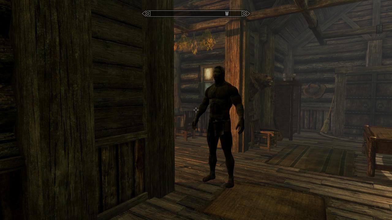 [07/08/2014] Rüstungspuppen sollen etwas Praktisches in Skyrim sein. Dabei liegt die Betonung auf 