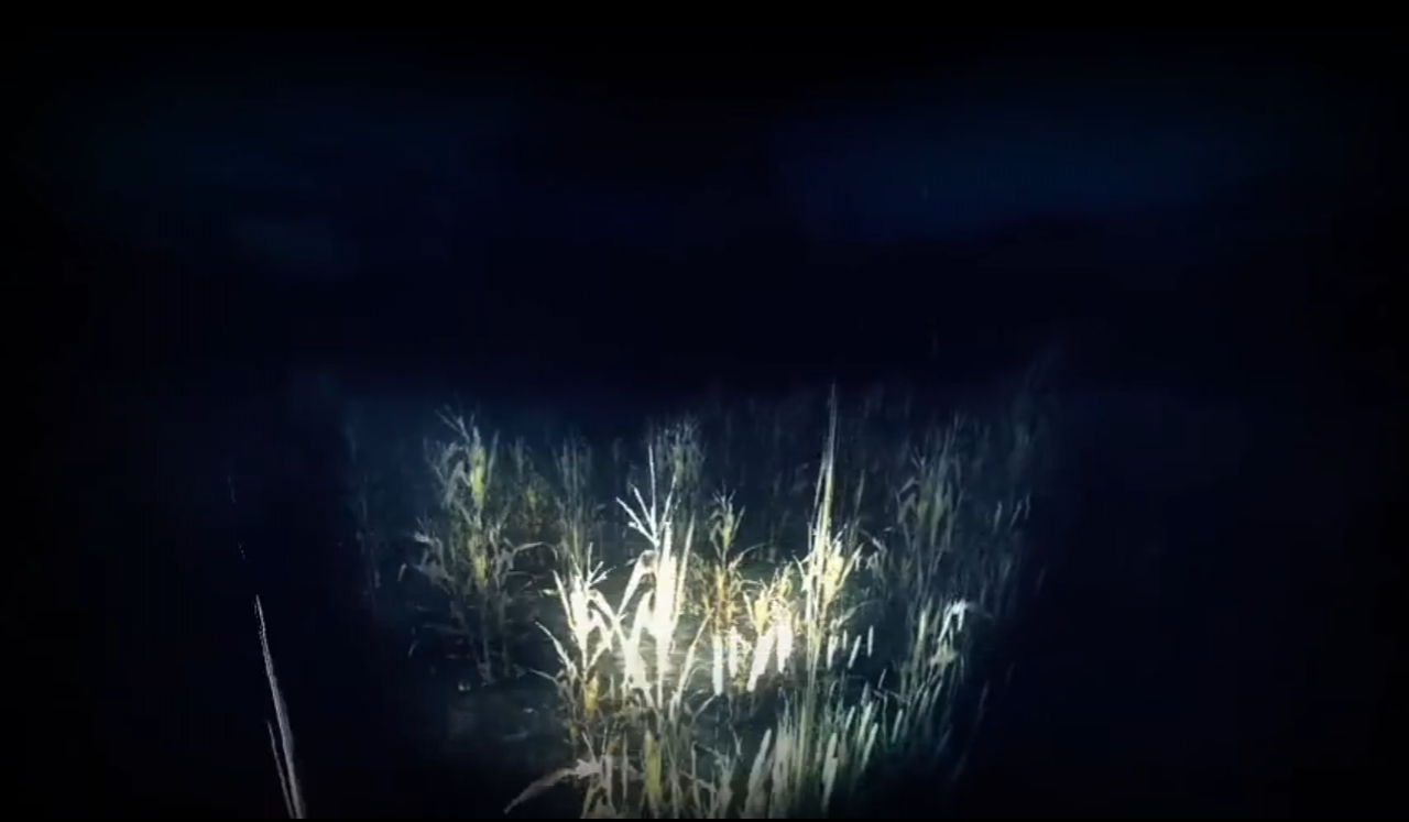 [29/09/2014] Der Slenderman ist uns in Haunt: The Real Slender Game auf den Fersen. Das reicht ja noch nicht. Selbstverständlich werden wir dabei auch durch ein Getreidefeld gejagt, das uns so hoch steht, dass wir kaum was darin sehen können.