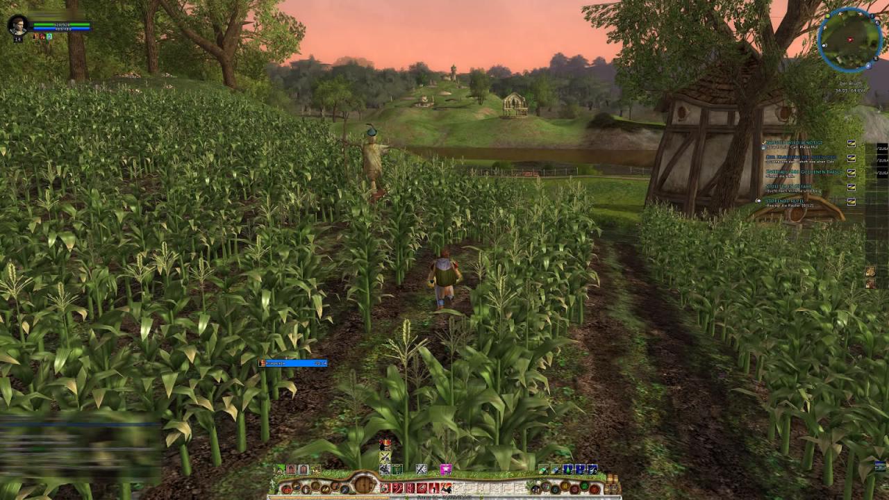 [29/09/2014] Nahe der Maggot-Farm finden wir in The Lord of the Rings Online ein hübsches Kornfeld vor. Und um uns von unseren epischen Abenteuern ein wenig zu erholen, können wir es uns nicht verkneifen, glücklich wie kleine Schulmädchen hindurch zu tollen.