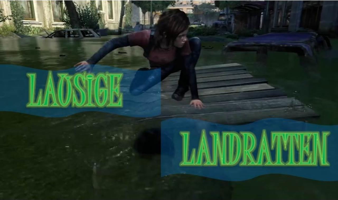 [03/09/2014] Diese lausigen Landratten, schwimmen wie ein Stein!