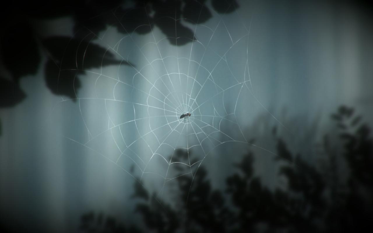 [27/02/2015] ...Als Fliege müsst ihr in The Plan Blättern und Spinnennetzen ausweichen, um den Weg ins Licht einer Glühbirne zu finden. Wer das Spiel gemeistert hat und am Ende noch genug Geduld aufbringt, sich die Credits anzusehen, der hat sich auch schon das einzige Achievement von The Plan verdient.