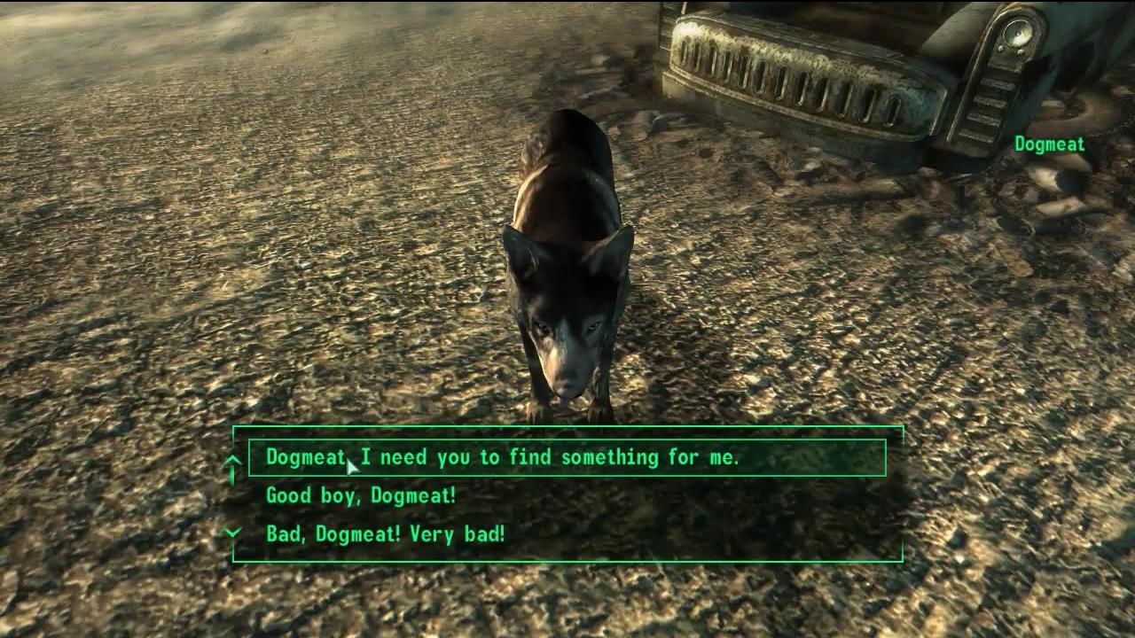 [24/03/2015] Wie schon in den beiden ersten Teilen stoßt ihr auch im dritten Teil der Fallout-Reihe auf einen tierischen Begleiter. Auf dem Schrottplatz im Ödland trefft ihr den Vierbeiner Dogmeat. Der Hund ist, vor allem zu Beginn des Spiels, eine große Hilfe im Kampf. Außerdem kann er Waffen, Munition, Nahrung oder Medikamente für euch suchen. Dogmeat könnt ihr außerdem selbst dann als Begleiter wählen, wenn ihr schon einen anderen Begleiter habt.