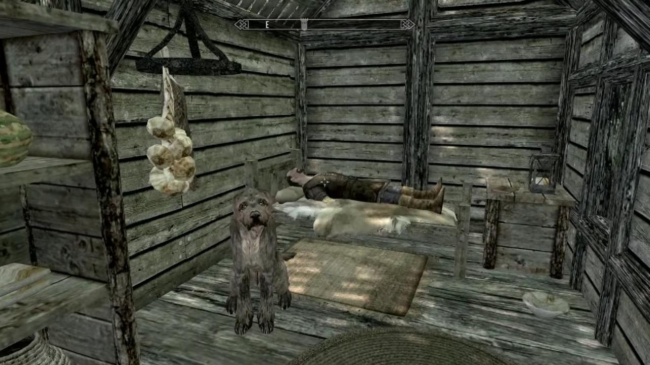 [24/03/2015] Dass die Freundschaft zwischen Mensch und Tier selbst den Tod überdauern kann, seht ihr auch in Skyrim. Seit Meekos Herrchen einer Krankheit erlegen ist, wartet der Hund nämlich vor dessen Hütte auf Reisende. Im Tagebuch des Verstorbenen könnt ihr nachlesen, dass Meeko sein letzter noch lebender Freund war und für sich selbst sorgen kann. Dennoch weicht Meeko dem Totenbett seines Besitzers nicht von der Seite. Wenn ihr noch keinen anderen Hund habt, könnt ihr Meeko in eure Gruppe aufnehmen. Allerdings kehrt er immer zu der Hütte seines Besitzers zurück, falls ihr kein eigenes Haus habt und ihn wegschickt.