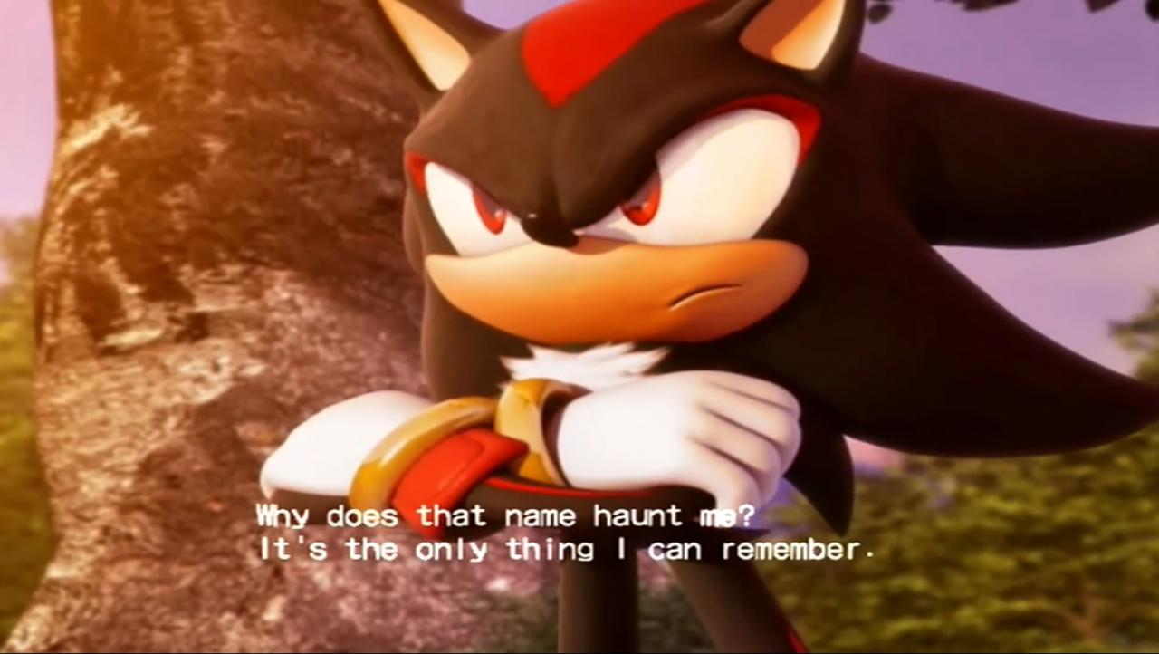 [07/04/2015] Shadow the Hedgehog: Der schwarze Insektenfresser ist überzeugter Einzelgänger und steht nur auf einer Seite - seiner eigenen. Das bedeutet allerdings nicht, dass er gänzlich herzlos wäre. Es gibt durchaus Leute, die ihm viel bedeuten. Der Gedanke an die verstorbene Maria Robotnik etwa treibt Shadow Tränen in die Augen.