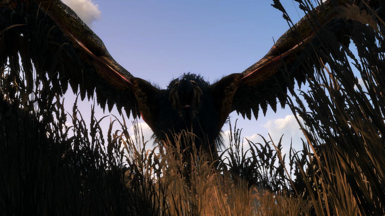 [27/05/2015] Fans von The Witcher 3 sind nicht erfreut und fordern mehr Inhalte mit der jungen Hexerin Triss Merigold. (3)