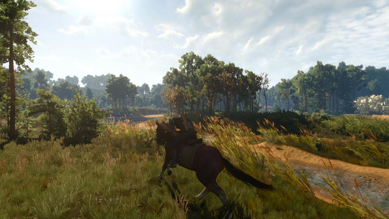 The Witcher 3