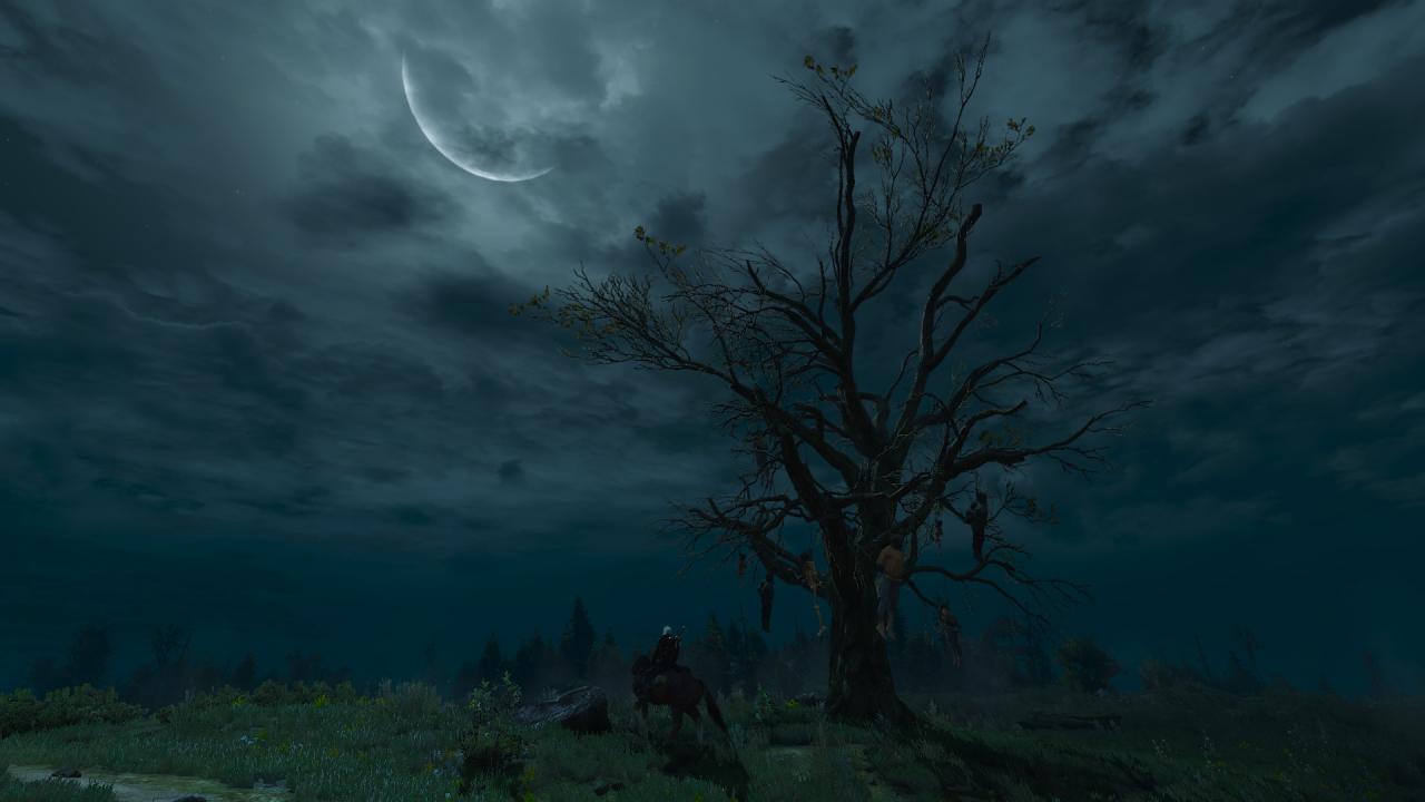 [28/05/2015] Die Spielwelt von The Witcher 3 fasziniert bis heute.