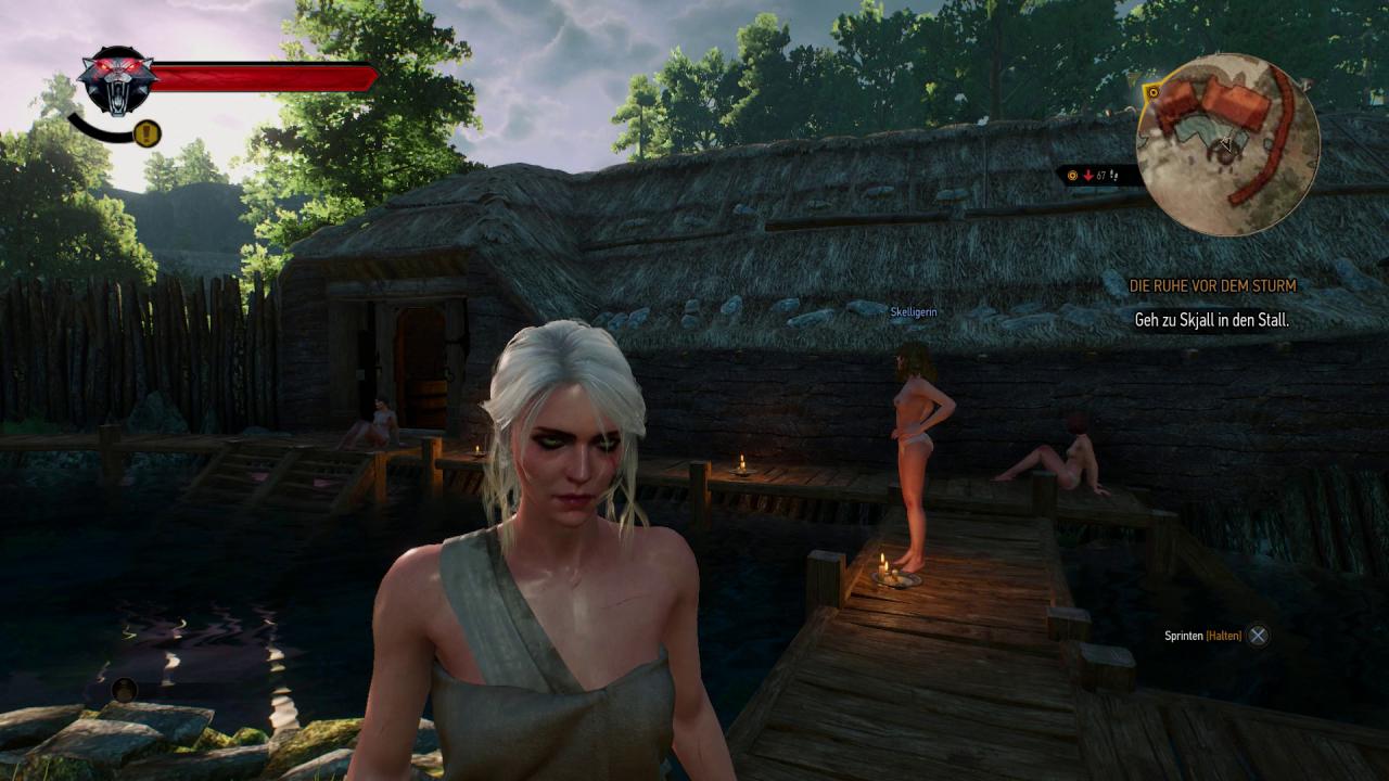 [12/05/2015] Ciri zählt zu den erzählerischen Highlights von The Witcher 3.
