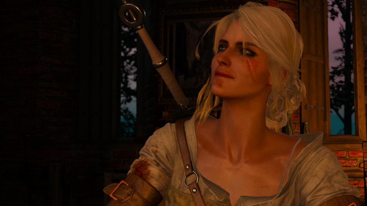 [15/05/2015] The Witcher 3: PC-Screenshots. (6)