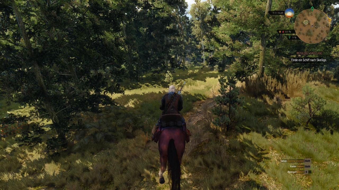 [15/05/2015] The Witcher 3: PC-Screenshots. (24)