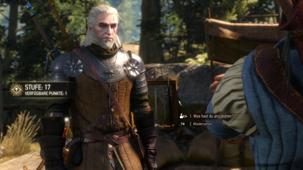 [15/05/2015] The Witcher 3: PC-Screenshots. (25)