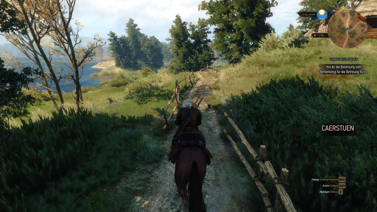 [15/05/2015] The Witcher 3: PC-Screenshots. (28)