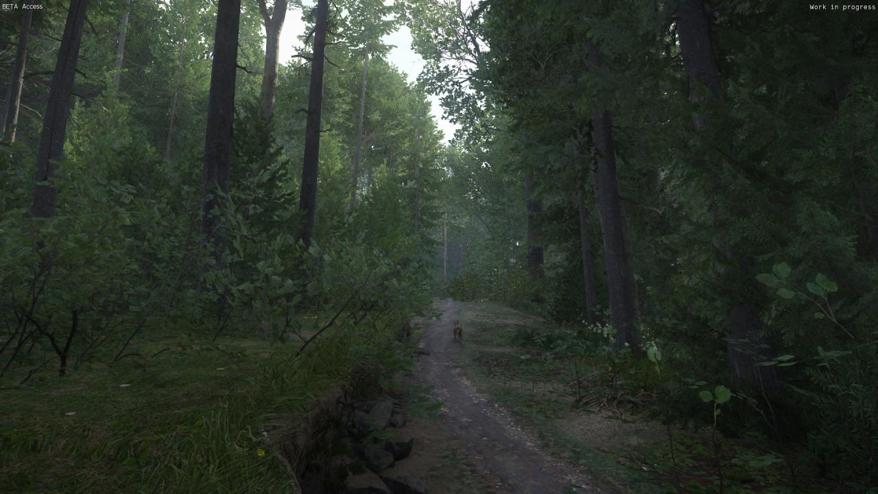 [06/03/2016] Kingdom Come: Deliverance, Beta - Hoppla, ein Hoppelhase!