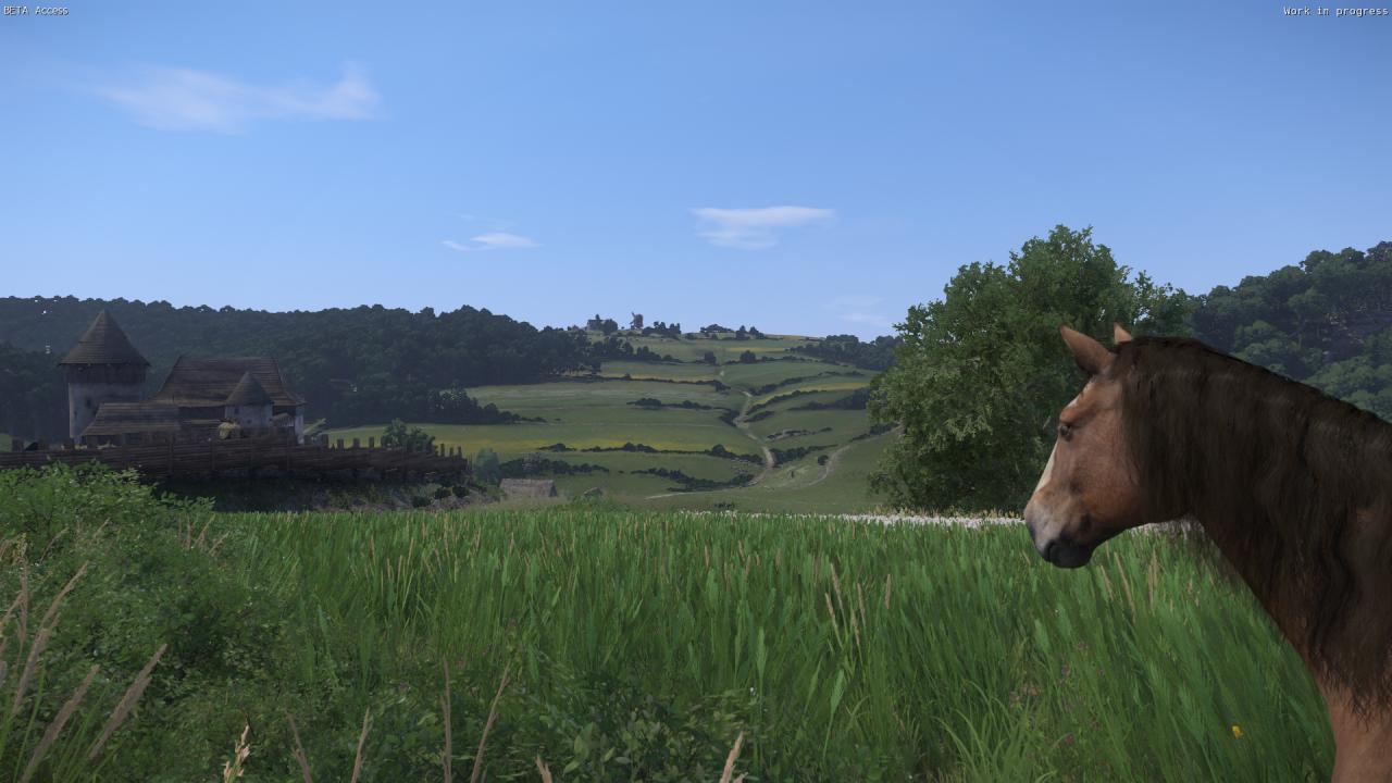 [06/03/2016] Kingdom Come: Deliverance, Beta - Die Weitsicht im Spiel ist enorm. Die am Horizont erkennbare Mühle auf dem Hügel lässt sich tatsächlich aufsuchen.