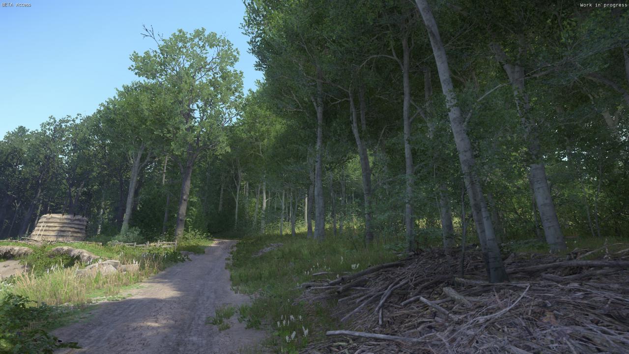 [06/03/2016] Kingdom Come: Deliverance, Beta - Unterwegs beim Waldspaziergang