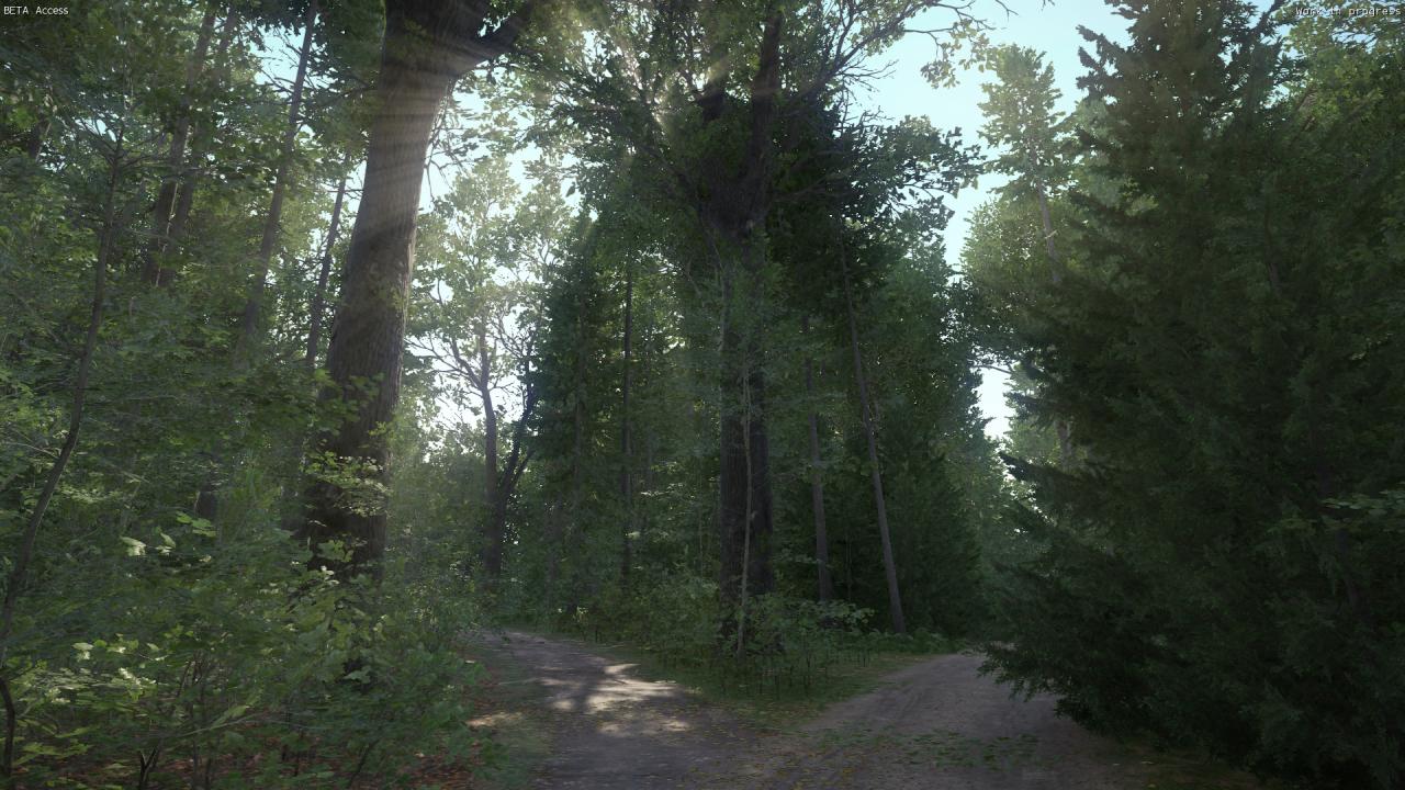 [06/03/2016] Kingdom Come: Deliverance, Beta - Grandios, für welch überzeugend natürlich wirkende Stimmung das Beleuchtungssystem und die Vegetation im Spiel sorgen.