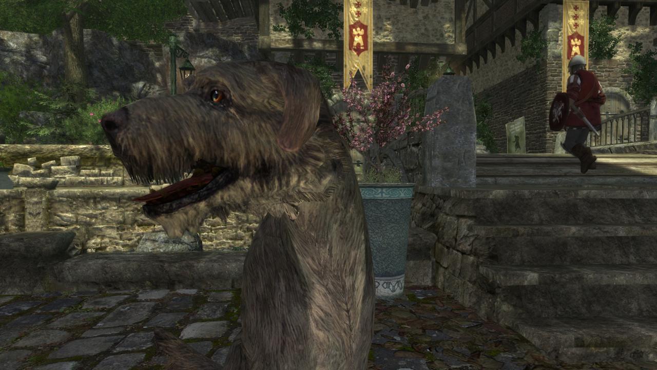 Diverse Cheats aus Skyrim lassen sich auch in Enderal benutzen, um schöne Screenshots zu erstellen.