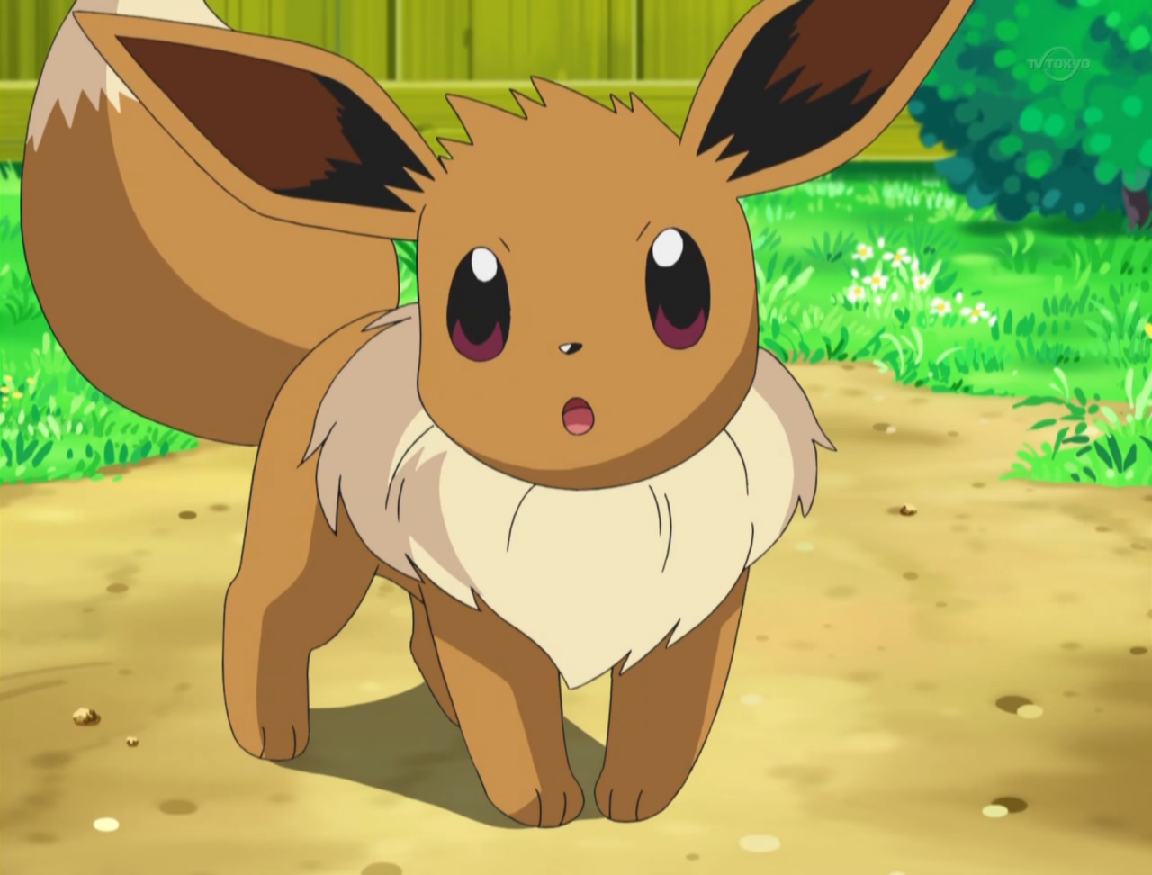 Pokémon GO: Guide - so entwickelt ihr euer Evoli zu Aquana, Blitza, Flamara, Nachtara oder Psiana