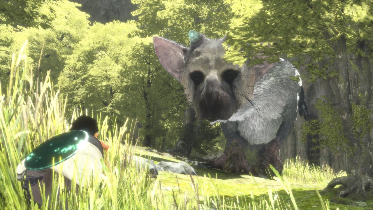 [11/08/2016] The Last Guardian.