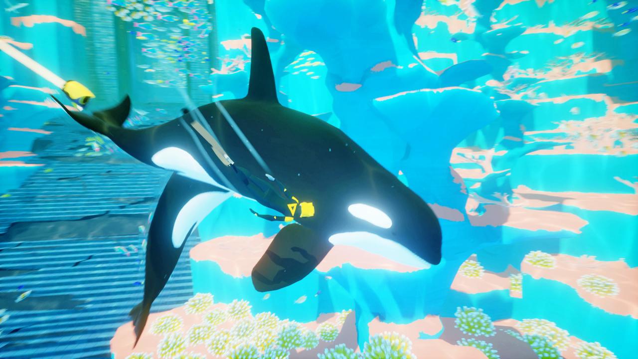[20/09/2016] Beeindruckende Begegnungen: Auch mit Orcas, übrigens die größte Art in der Familie der Delfine, kann man gemeinsam schwimmen. (PS4)