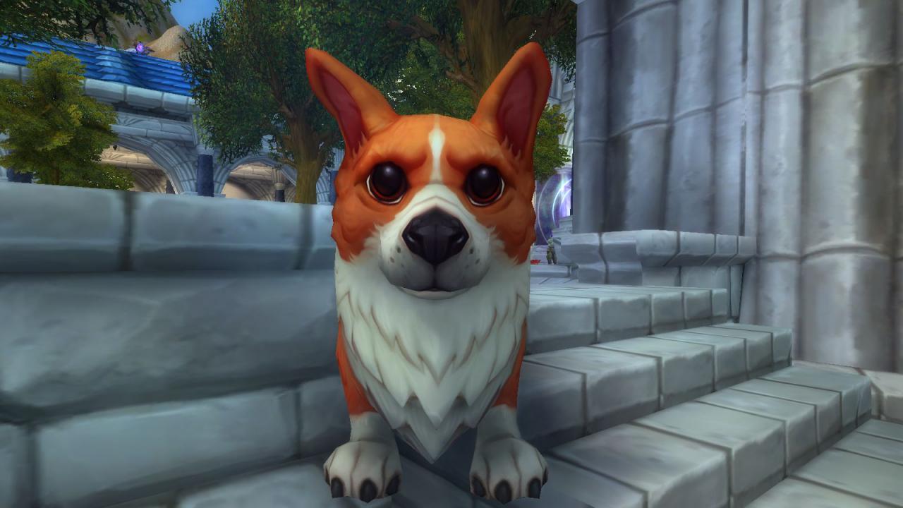 World of Warcraft: Corgi