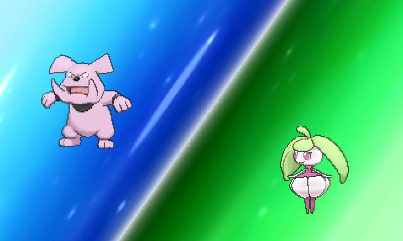 [16/12/2016] Wir tauschen Granbull gegen Frubaila