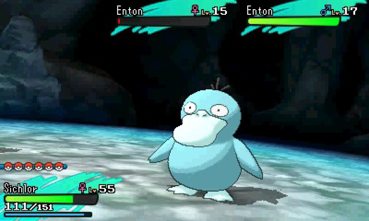 [13/01/2017] Ein Shiny-Enton.