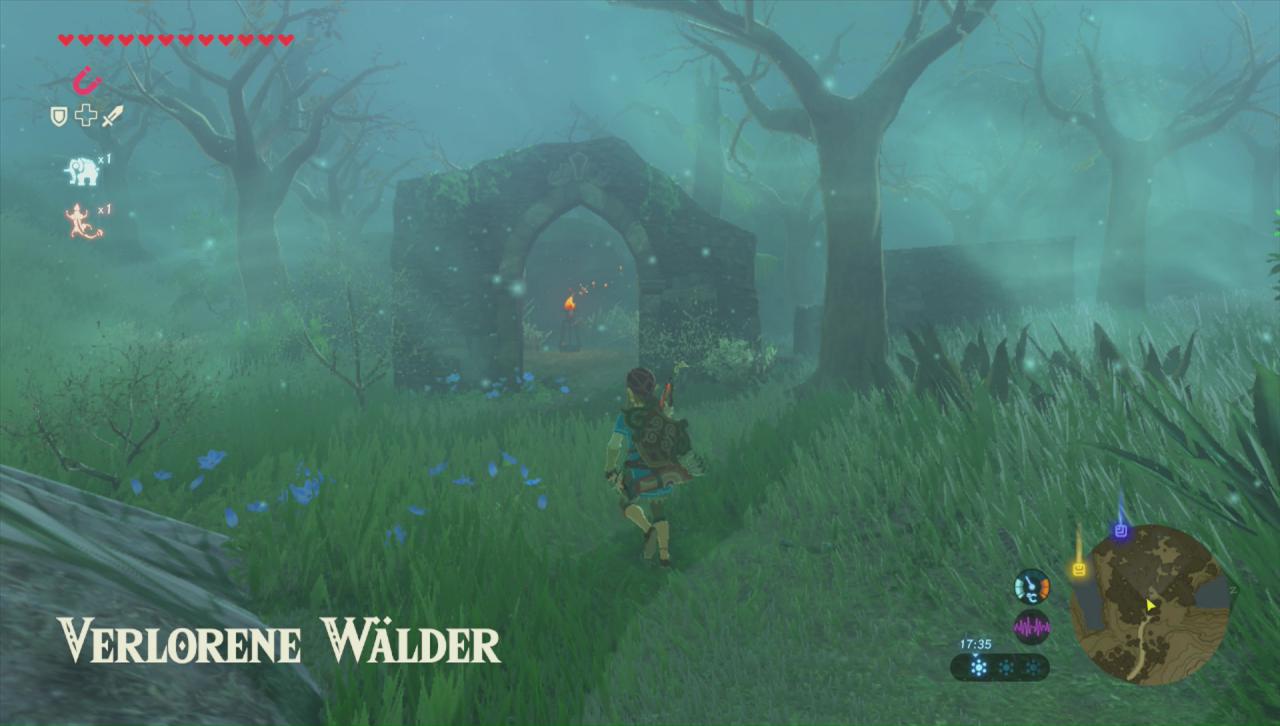 Die Verlorenen Wälder von Hyrule.