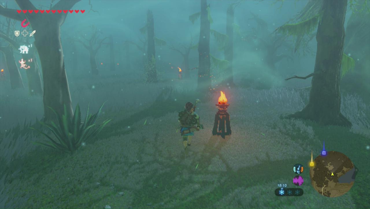 Link an einer Fackel in den verlorenen Wäldern.