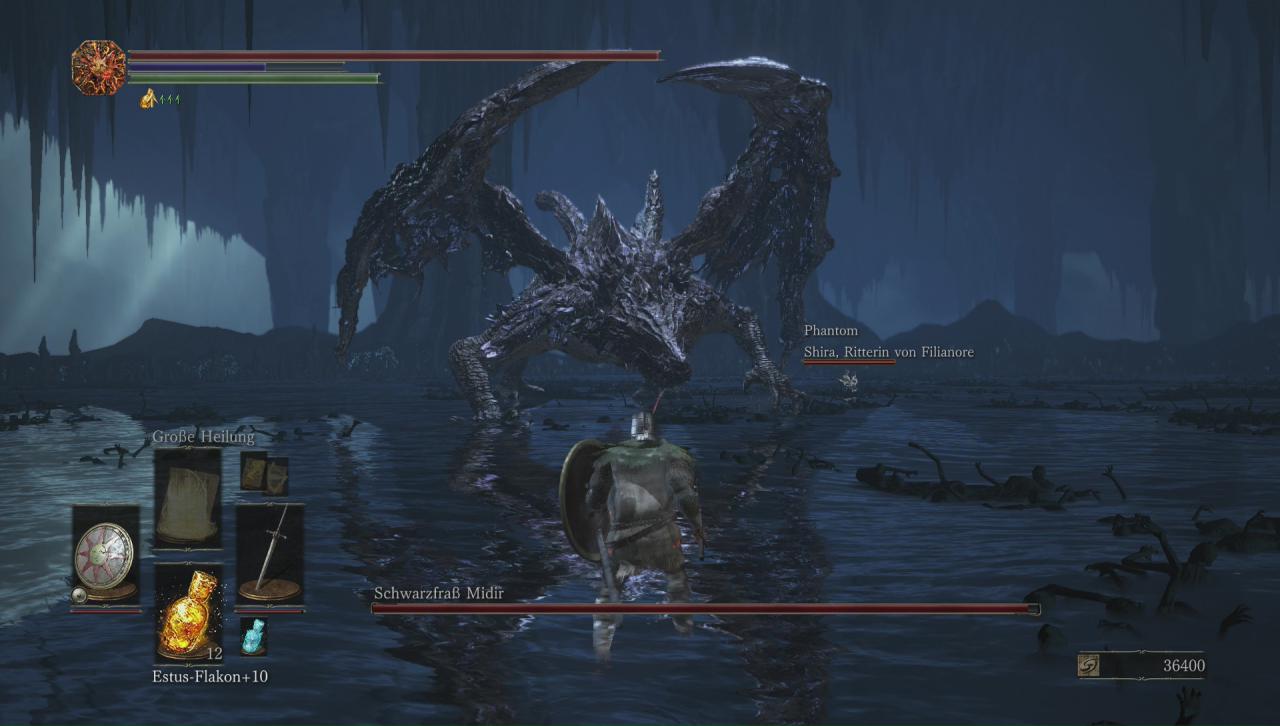 Phantom Shira zu Hilfe bei Midir.