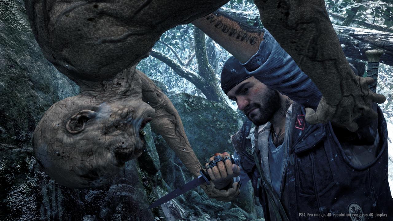 [16/06/2017] Days Gone: Neue Screenshots von der E3 2017 (3)
