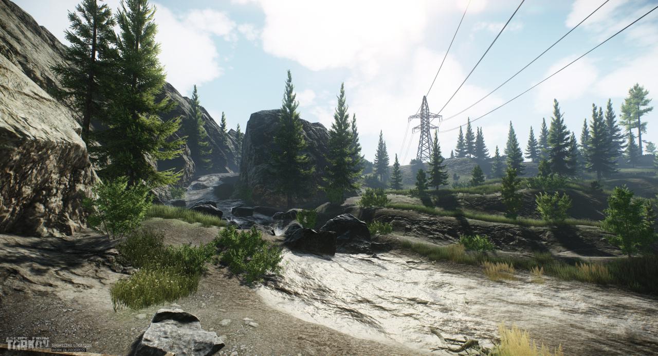 Ein Wald in Escape from Tarkov