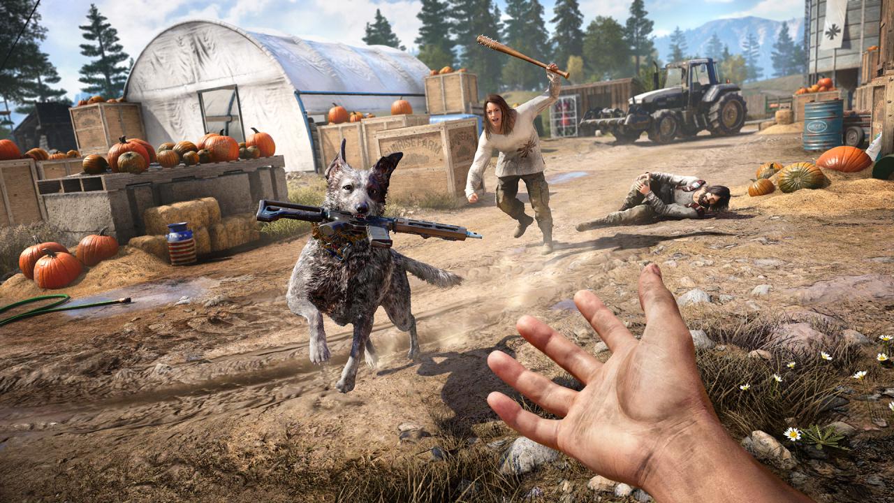 [12/06/2017] Far Cry 5 hat ein tolles Setting und eine wunderschöne Grafik.