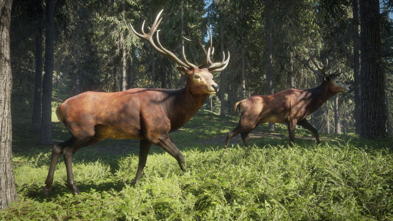 [28/08/2017] Die gefeierte Jagd-Simulation theHunter: Call of the Wild gibt es bei Steam zum Bestpreis. (1)