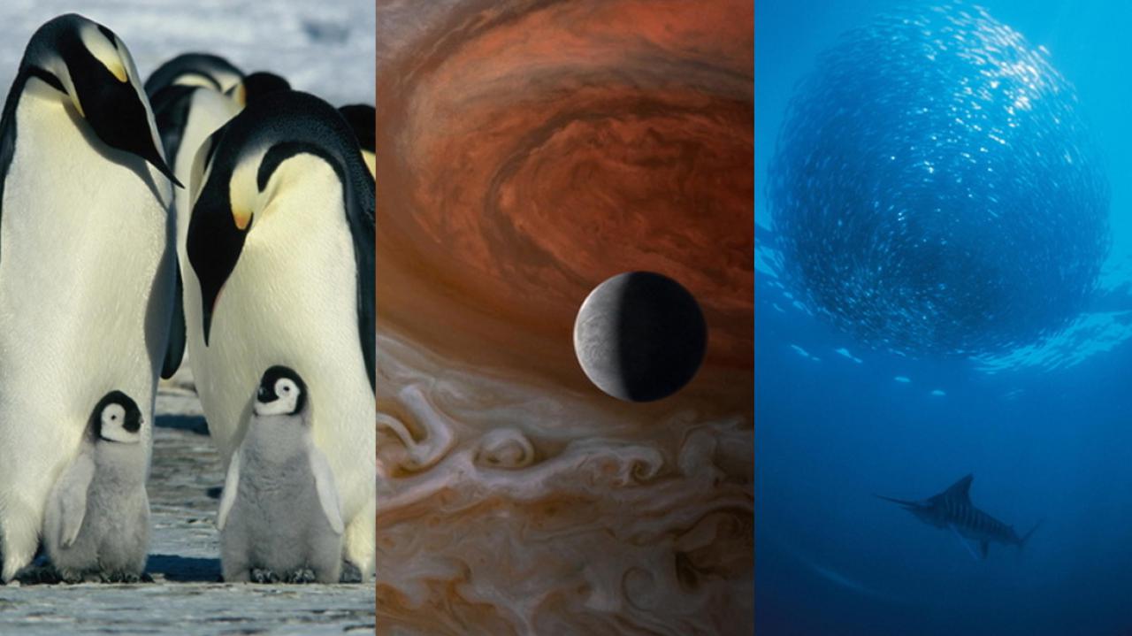 [15/03/2018] Die Reise der Pinguine / Voyage of Time / Deep Blue