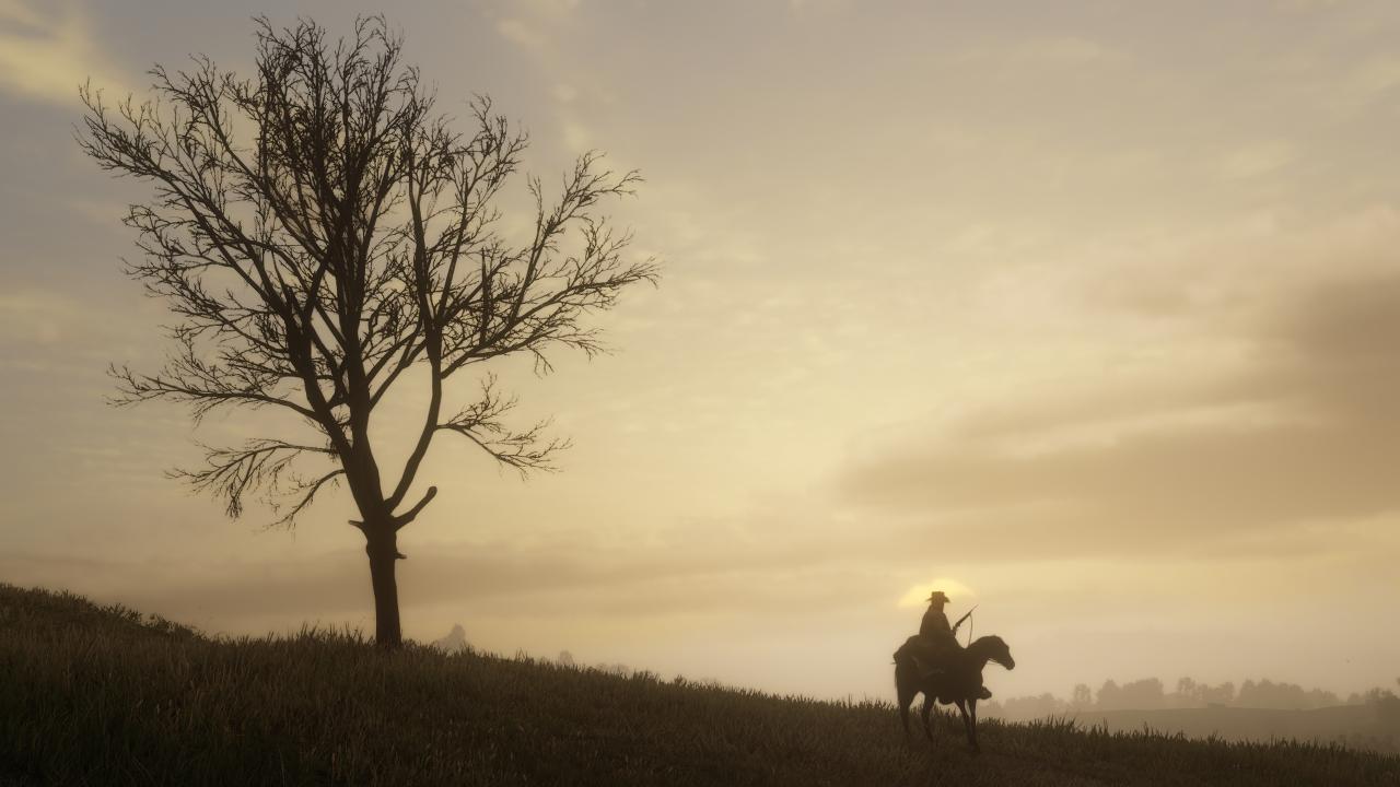 [20/09/2018] Red Dead Redemption 2 im Test&nbsp;