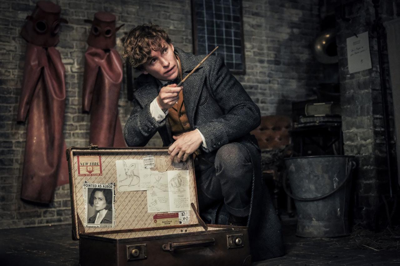 [04/10/2018] Harry Potter / Phantastische Tierwesen: Wie soll es mit dem Wizarding World Franchise weitergehen? (1)