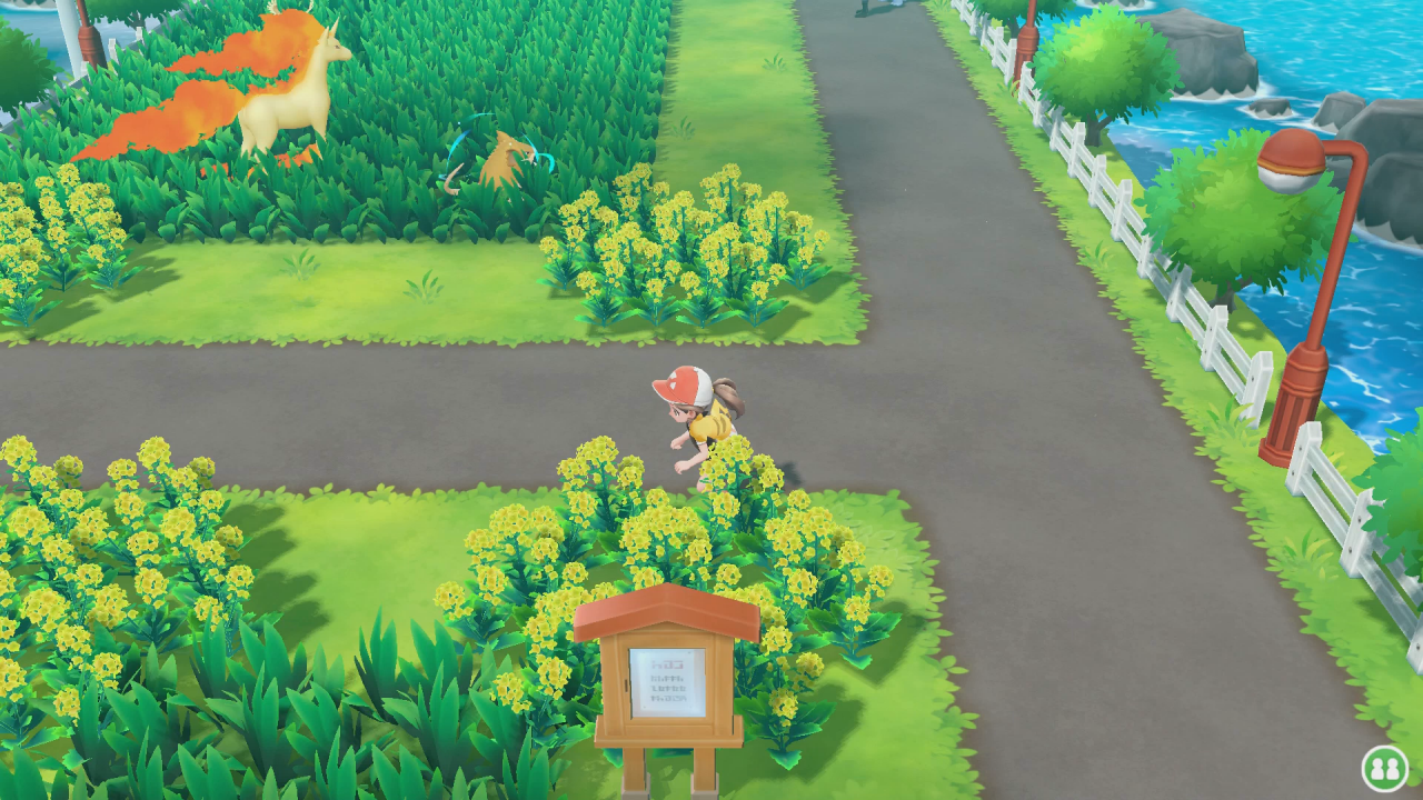 [21/11/2018] Auf Route 17 fangen wir uns zahlreiche Pokémon, unter anderem sogar ein Schillerndes Dodu.