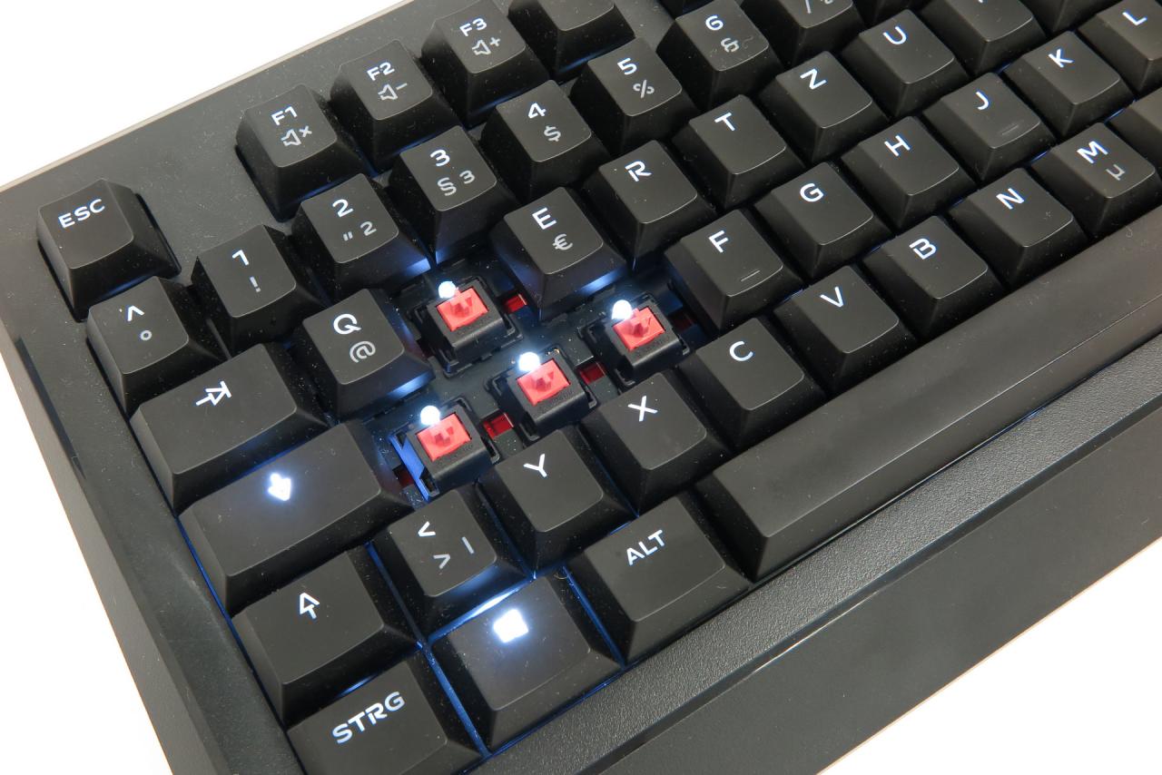 [23/01/2019] Unter den Tasten befinden sich die Switches - hier die Sorte Cherry MX-Red mit Beleuchtung