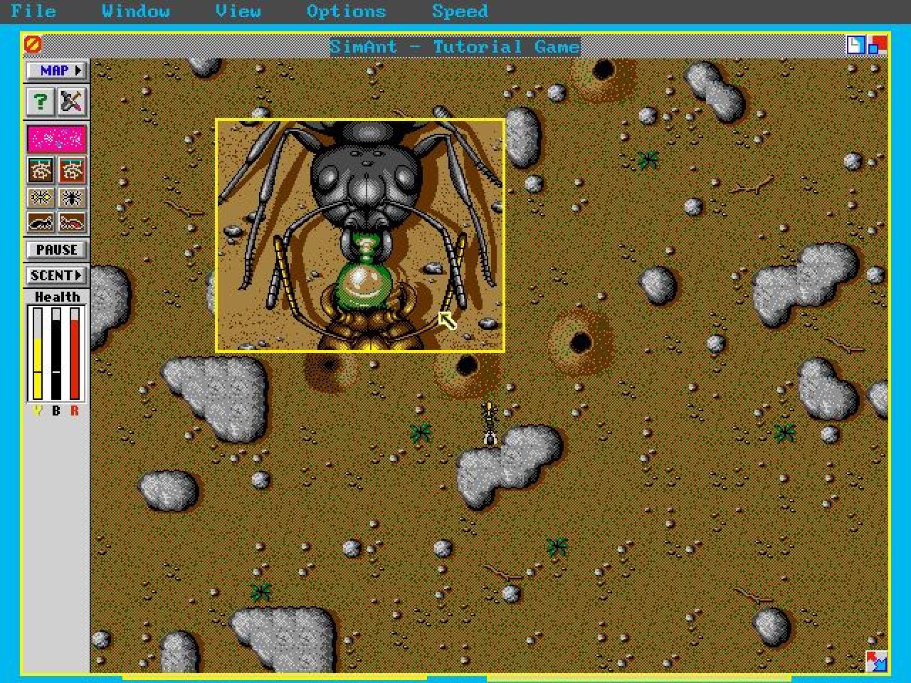 [21/02/2019] Sim Ant (1991):&nbsp;Sim Ant erschien 1991 für MS-DOS, Windows und Mac. Später folgten Umsetzungen für den Amiga und das SNES. Die Prämisse hinter Sim Ant ist deutlich anders als in Sim City: In der Lebenssimulation kontrolliert ihr die Geschicke eines Ameisenstaats. Aus der Vogelperspektive steuert ihr lediglich ein einzelnes Insekt. Sim Ant besteht aus drei Spielmodi: Quick Game, Full Game oder Experimental Game. Ziel ist es letztlich, nicht nur den Garten, sondern auch das Haus der Menschen zu vereinnahmen. Dabei muss der Spieler die Angriffe der roten Ameisen abwehren oder den Nahrungsmittelhaushalt durch das Legen von Pheromonspuren sichern. Will Wright erklärte später, dass ihm einige in Die Sims eingebauten Mechanismen bei den Arbeiten an Sim Ant einfielen. 