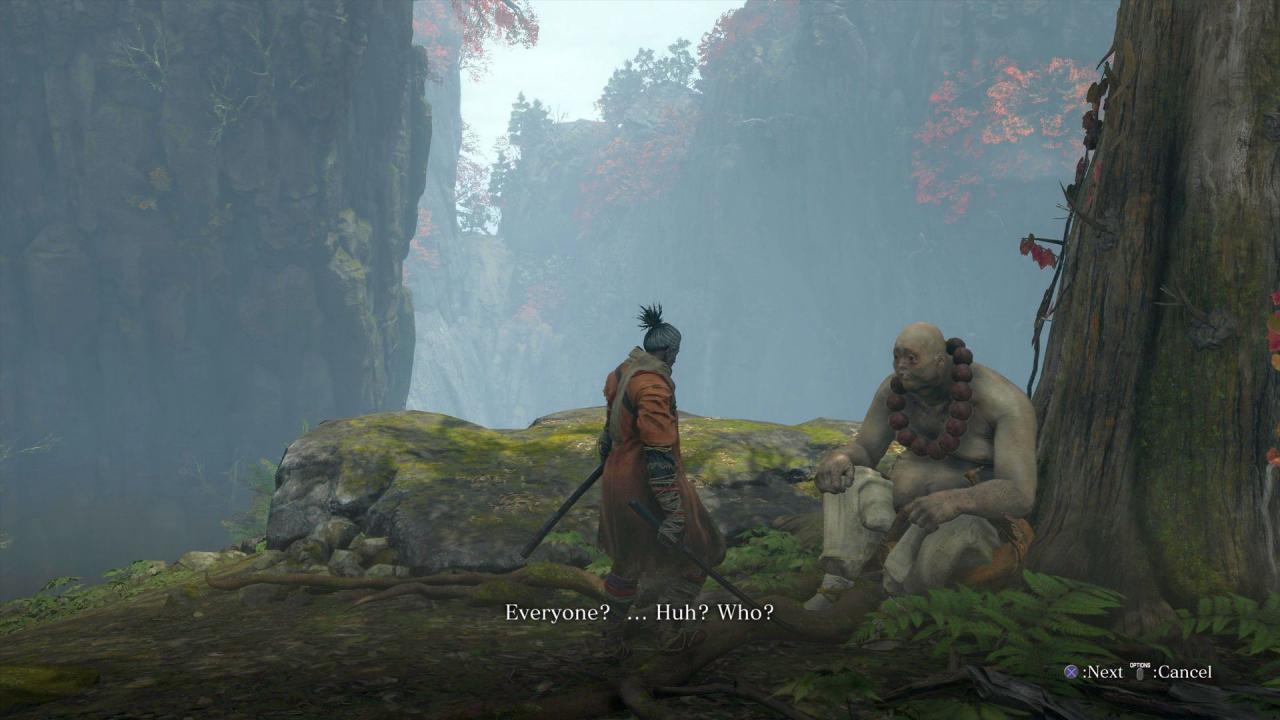 In Gesprächen mit NPCs hat Sekiro gelegentlich unterschiedliche Antwortmöglichkeiten.