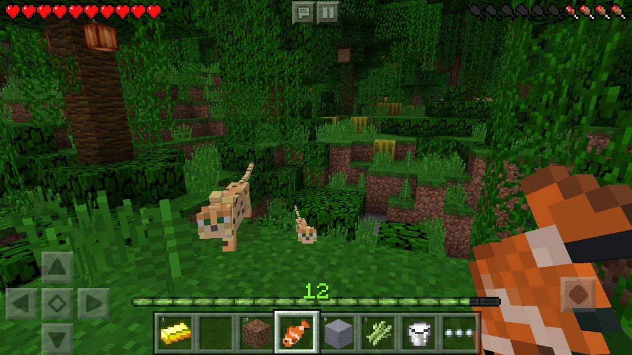 [24/05/2019] Dank Minecraft: Pocket Edition ist das beliebte Aufbauspiel seit 2011 für Smartphones, Tablets und Handhelds erhältlich. Der Zusatz Pocket Edition wurde inzwischen jedoch gestrichen. Die Mobile-Portierung ist der erfolgreichste Ableger der Reihe.