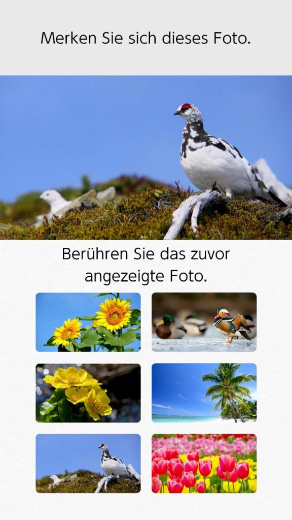 [03/01/2020] Merkt euch das obere Bild. Unten markiert ihr das Foto, das zuvor oben zu sehen war. Fies: Die Abbildungen werden auch gespiegelt gezeigt!